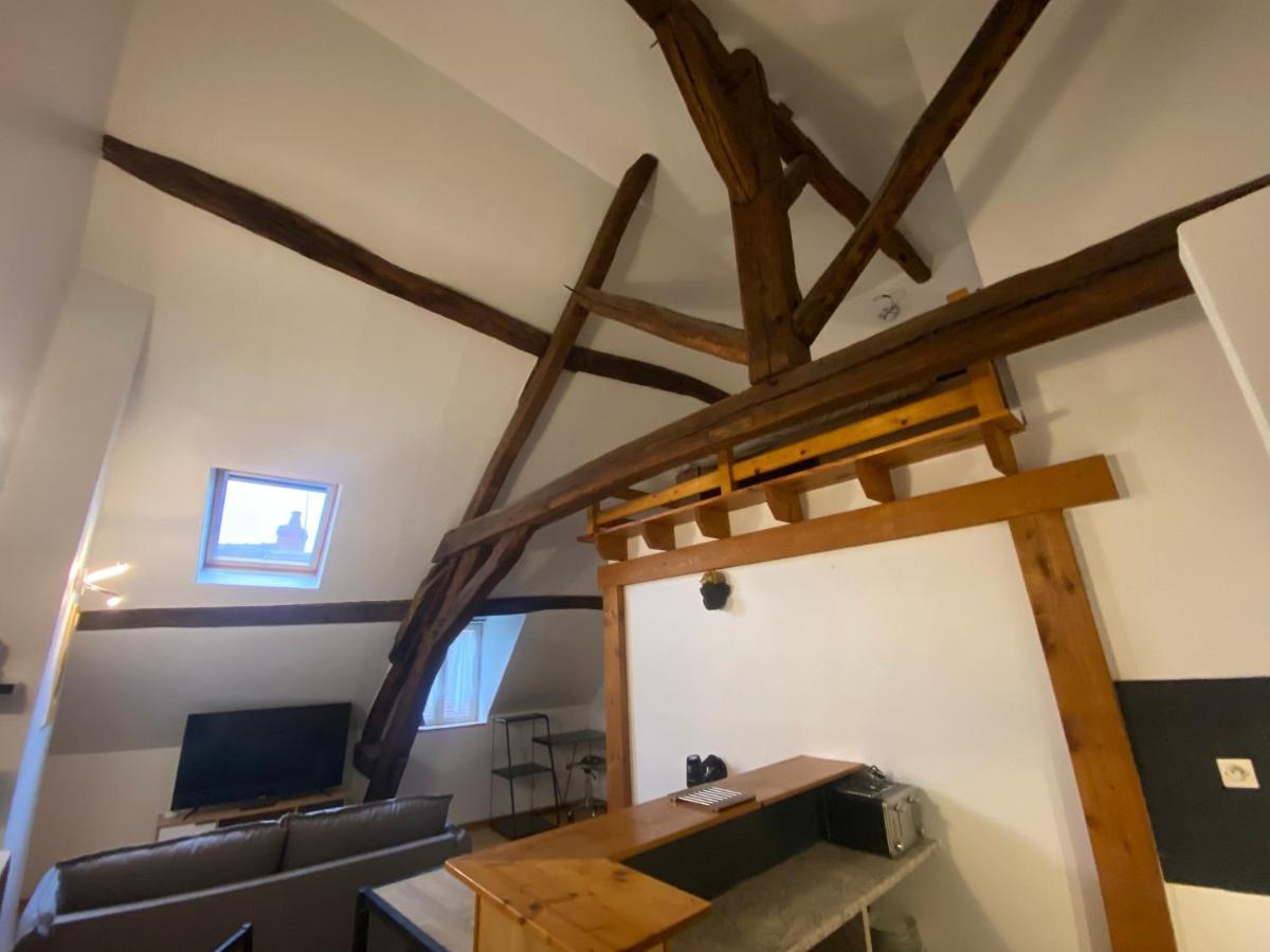 Le Puits Du Bourg Apartment Nevers Bagian luar foto